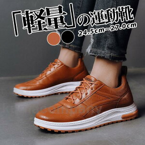 THOM WILLS Xj[J[ Y y ₷ U[ pu X|[c JWA jOV[Y StV[Y EH[LOV[Y 傫TCY ^C