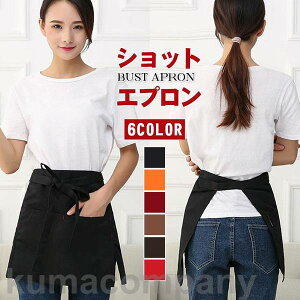 THOM WILLS \GGv Y fB[X O| V[g Ɩp ۈm H JtF Xg T  jtH[ q 