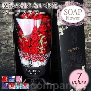 ԑ Mtg u[P {bNXt[ v[g  33 [Y t[ TvCY ͂Ȃ