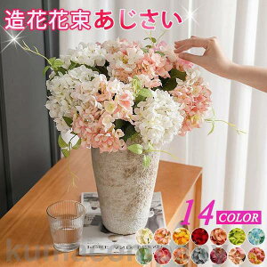 o^C  2_ CeA t[  G i`  ԑ u[P tFCNO[