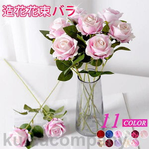 o^C o CeA t[  G i`  ԑ u[P tFCNO[ v[