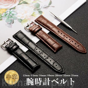 rv xg {v n Ht v oh  ւxg ւoh Y fB[X _炩 vxg h