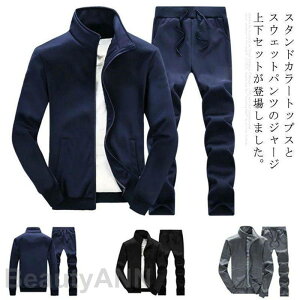 THOM WILLS W[W Opc ㉺Zbg XGbg  ZbgAbv X|[c p[J[ g[i[  ʋ ʊw  V t t v[g Mtg ̓ ގ