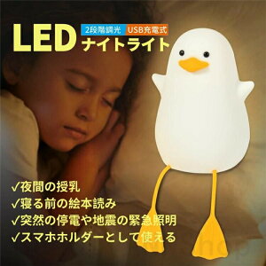 iCgCg ԐڏƖ LEDCg Cg ^C}ݒ USB[d 킢 J   X}zX^h v[g q  NX}X