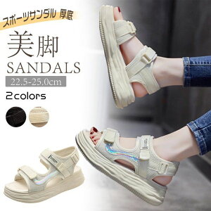 X|[cT_  ubN O[ fB[X T_ 6cm RtH[g T_ r[`T_ ăr[T y xN Xj[J[ X|[c T_ ɂȂ ₷