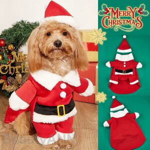 2_Zbg NX}X RXv ̕ T^ Xqt hbOEFA h ~ ybg ߑ L ˂  RX`[ ϐg Cxg v[g Mtg