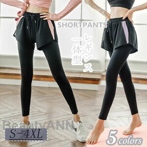 yyVX[p[SALE蔼zOFF!zKMX V[gpč^ KY{ Kpc V[gpct MX KEFA K X|[cEFA tBbglX nCEGXg Xp