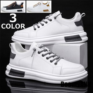 yyVX[p[SALE蔼zOFF!zV[Y  Xj[J[ Y V[Y   X|[c C t H v[g JWA ɂȂ ɂ v[g Mtg