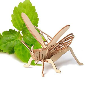 S8ރZbg 3D  ؐ pY ċx R   W{ } ͖_ ȒP DIY ؐߋ mߋ  pY v[g a NX}X ݑ  ƗV ɂ