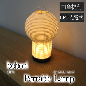 bobori LED Cg LED ^ [d USB A to C Type Vv { AEghA Lv ނȂǂɂB 傤 |[^uv fXNCg LED ԐڏƖ