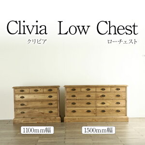 NrA [`FXg i pC ؐ  ˃^X \y `FXg _X [ I[_[ VR Vv Ƌ 쒆؍H Y a a_ a Clivia { aƋ