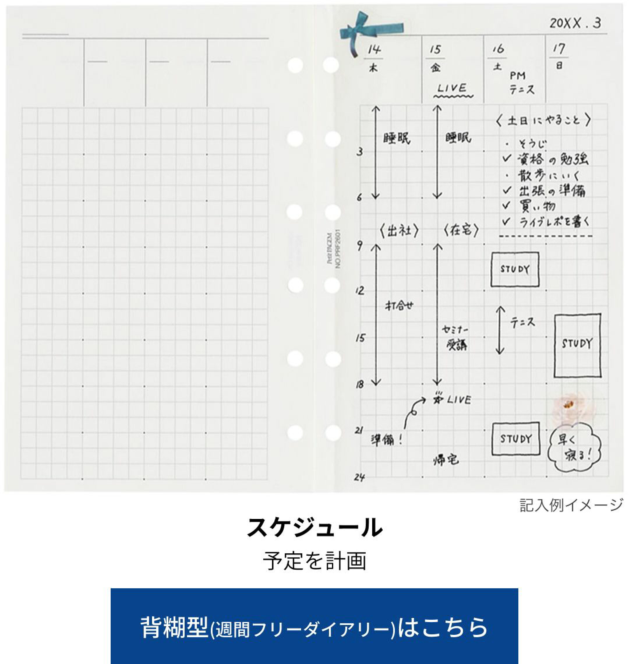 システム手帳用リフィル　ビジョン　週間スケジュール　管理　A5サイズ　バイブルサイズ　ミニ6サイズ　能率手帳・スケジュール帳