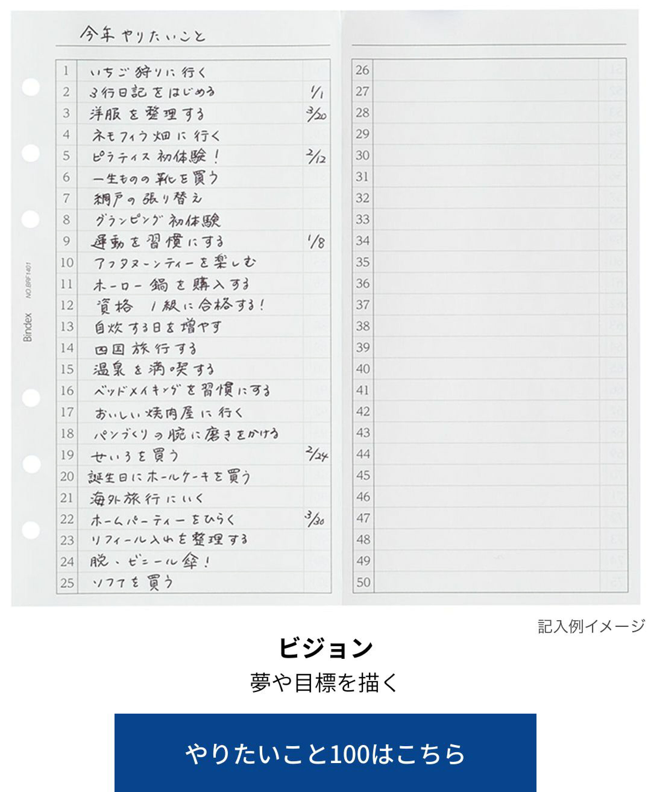 システム手帳用リフィル　ビジョン　やりたいこと　夢　目標　A5サイズ　バイブルサイズ　ミニ6サイズ　能率手帳・スケジュール帳