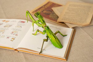 MAKEBUG|͌^V[Y IIJ}L