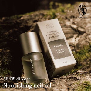 A[eBX fB H[`F iVOlCIC 10ml 10 tOX lCPA L[eBNICNX^V[Y 炳  ێ et lCXg Tꔄi ARTiS di V