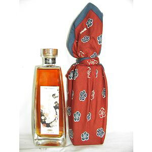 ߂Ђт Md 500ml 20x [ܖH[ 啪 ~ bޏĒx[X]