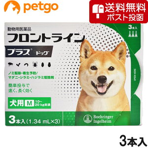 ylR|X(s)zptgCvXhbOM 10kg`20kg 3{i3sybgjipij