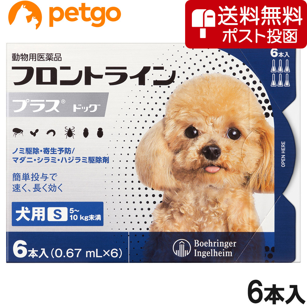 【ネコポス(同梱不可)】犬用フロントラインプラスドッグS 5～10kg 6本（6ピペット）（動物用医薬品） 【あす楽】