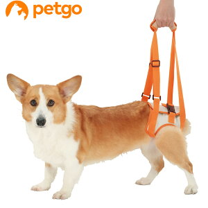 yeBI zuttone(Ƃ) Vp s⏕n[lX 㑫p L