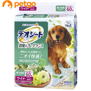 fIV[g ӂ荁LtOX O[A}̍ Ch 60