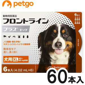 y10ZbgzptgCvXhbOXL 40kg`60kg 6{i6sybgjipij