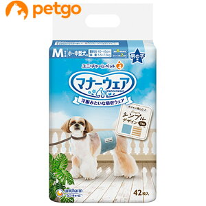 }i[EFA j̎qp M `^p JXgCv 42