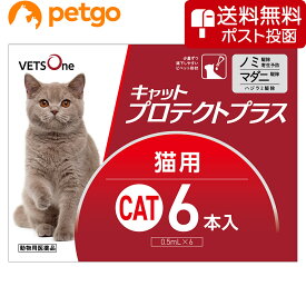 【ネコポス(同梱不可)】ベッツワン キャットプロテクトプラス 猫用 6本 (動物用医薬品)【あす楽】