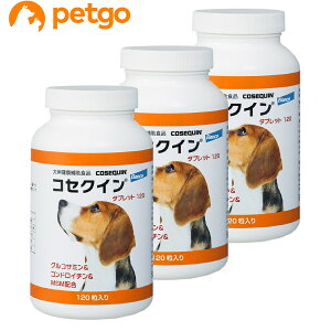 y3ZbgzRZNC ^ubg 120