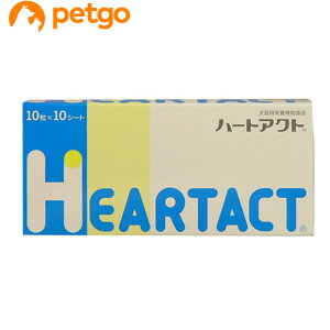 n[gANg Lp 10×10V[g