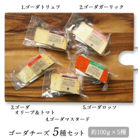 ゴーダチーズ5種セット（約90g×5種）［冷蔵］【3～4営業日以内に出荷】【送料無料】