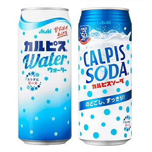 JsX[JsXEH[^[500gʁEJsX\[_500g]×48{[24{×2P[X] ImܖF4ȏn1Zbg1zł͂kCEE͑ΏۊOy3`4cƓȓ