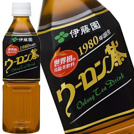 伊藤園 ウーロン茶 500mlPET×48本［24本×2箱］［賞味期限：3ヶ月以上］北海道、沖縄、離島は送料無料対象外［送料無料］【4〜5営業日以内に出荷】