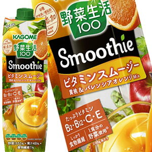 JS ؐ100 Smoothie r^~X[W[ 1000gpbN×24{m6{×4nkCAA͑ΏۊOmܖF3ȏnmny3`4cƓȓɏoׁz