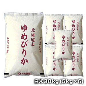 mߘa7NYn V kCY ߂҂肩  30kg (5kg×6)30kg1zł͂miƓsnyzy1`2cƓȓɏoׁz