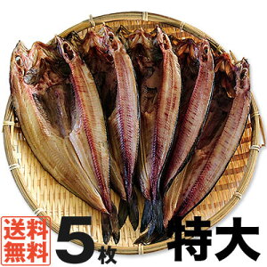 yzykCPYzy^قzPYA^قTCY51350g`370gyzyzbPzMtg Ε av[g j 蕨 ̓ ̓