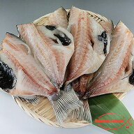 【送料無料】つぼだい（ツボダイ）一夜干し 特大サイズ 5枚 大変貴重な逸品です。正進丸キャッチ新物数年…