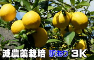 リスボンレモン　訳あり　3kg　特別栽培　減農薬栽培 　 果物・野菜ソムリエ★が作る！激オシ　【送料無…