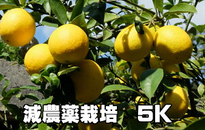 O[X{ _͔| 5kg ʕE؃\GIIVyzCUz!~lՂ!@@BF{@F{EG@ς肪