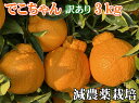 こだわりでこちゃん 訳あり3Kg　特別栽培　減農薬栽培　元祖" デコポン"の発祥地 熊本不知火町産 果物・野菜ソムリエ…