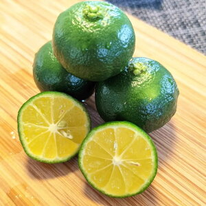 V[N[T[@1K@ʍ͔|@_͔|@ on the soil ʕE؃\GIIV@yzjK!~lՂ! @@B F{ @