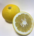 こだわり 訳ありパール柑　4Kg　9-12玉　特別栽培【減農薬栽培】 熊本県天草の発祥地★ 果物・野菜ソムリエ★送料無料…
