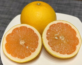 グレープフルーツ　ピンク系　訳あり　3K　特別栽培（化学肥料・化学消毒半分以下）減農薬栽培！果物・野菜ソムリエ★が作る！激オシ　【送料無料】高級サンゴ使用！海水散布!ミネラルたっぷり!　美味しい ミカン　 九州 熊本県 みかん　熊本蜜柑