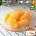 サマーキング　5Kg　【特別栽培　減農薬】 熊本不知火町産 果物・野菜ソムリエが作る！【送料無料】美味しい みかん …