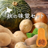【10月中旬から順次発送予定】秋の味覚セット かぼちゃ 玉ねぎ じゃがいも 詰め合わせ くりりんまたは恋…