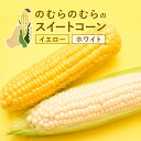 【※7月末から順次発送の販売開始！】【送料無料】 のむらのむら スイートコーン イエローコーン ホワイトコーン とう…