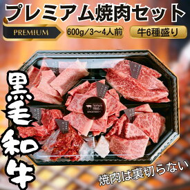 焼肉セット 黒毛和牛 国産 600g 霜降り 赤身 北海道 ハラミ 食べ比べ 合格祝い 贈り物 ご褒美 黒毛和牛 精肉店 牛肉 イチボ ランプ ヒレ 友三角 トモサンカク ヒウチ ラムイチ 希少部位 バーベキュー BBQ 冷凍 専門店 肉屋 牛 A4 フローズン モモ ロース カルビ