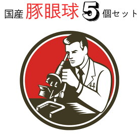 翌日配達 国産 豚 眼球 1パック5個入 目玉 教材 筋肉 繊維 高校 大学 実験 研究 観察 値段 冷凍 解剖 生物科 理科 授業 構造 水晶体 カミソリ ハサミ 中学 医学 角膜 夏休み 自由研究 ガラス体 前半球 後半球 ゼリー状 医療 眼科 強膜 虹彩 視神経束 実習 施設 仕組み 黒目