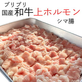 ＼脂がうまい／ 黒毛和牛100% シマ腸 200g ぷりっぷり 味付けなし もつ鍋 モツ 焼肉 お肉屋さん タンパク質 カロリー おつまみ 晩酌 精肉店 バーベキュー BBQ 希少部位 特選 専門店 ホルモン やきにく もつ鍋 融点 和牛 真空パック うどん