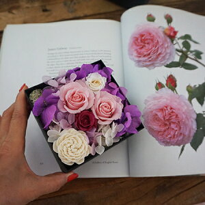 Iׂ3F t[{bNXyvU[uht[zyMtgza ̓ ̓ hV̓ zCgf[ EFfBO NX}X  j LO