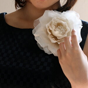 YVNuAl[YRT[WviP[Xtj { \ ܎ hX ubNtH[} Zj[X[c  ܎O   Ǝw l j